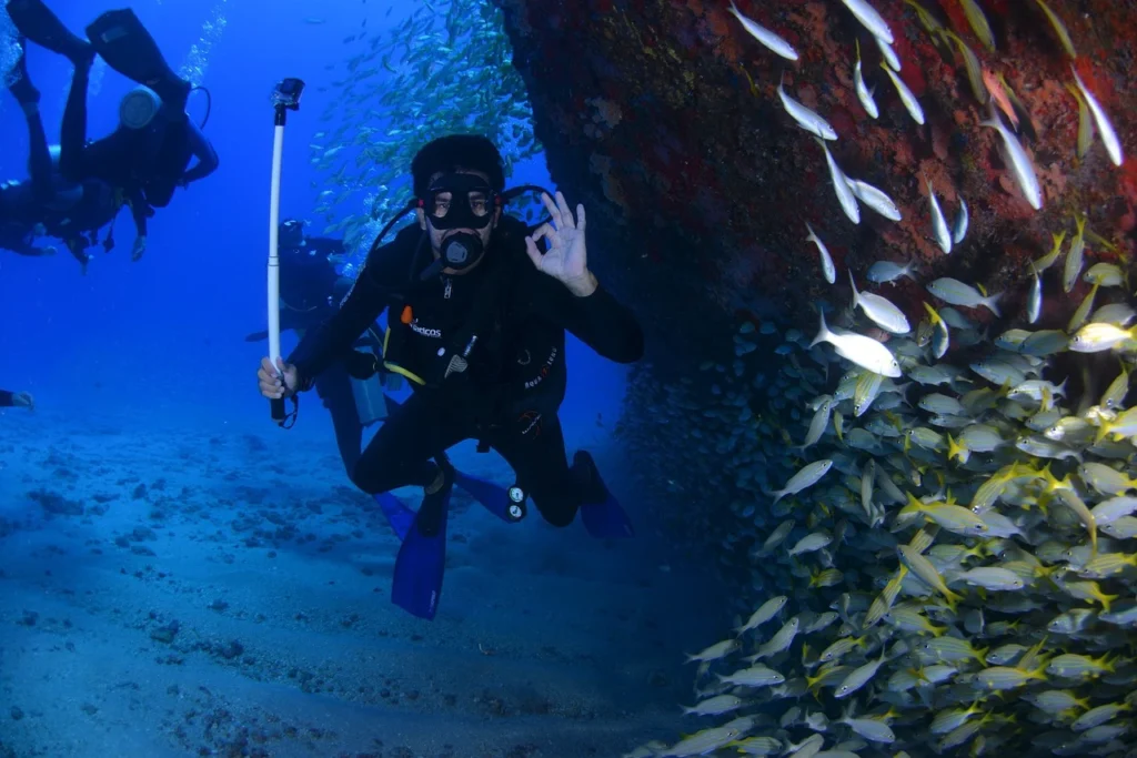 Lifestyle Dive 1024x683